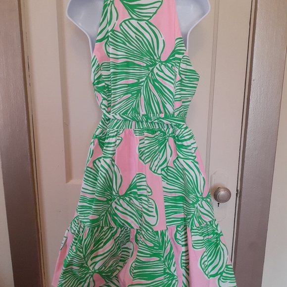 Lilly Pulitzer Trisha Shirt Dress Size 10 - Picture 4 of 4